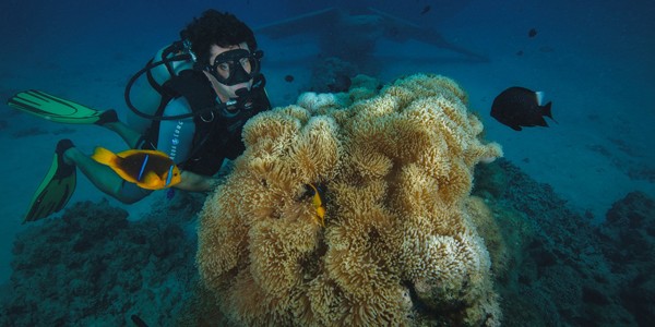 Croisiere Plongee Sous Marine Tahiti