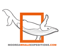 Logo-MooreaWhalesExpeditions