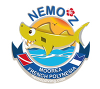 Logo-Nemoz-Moorea