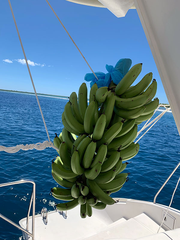 Repas-catamaran-croisiere-tahiti-bananes-2